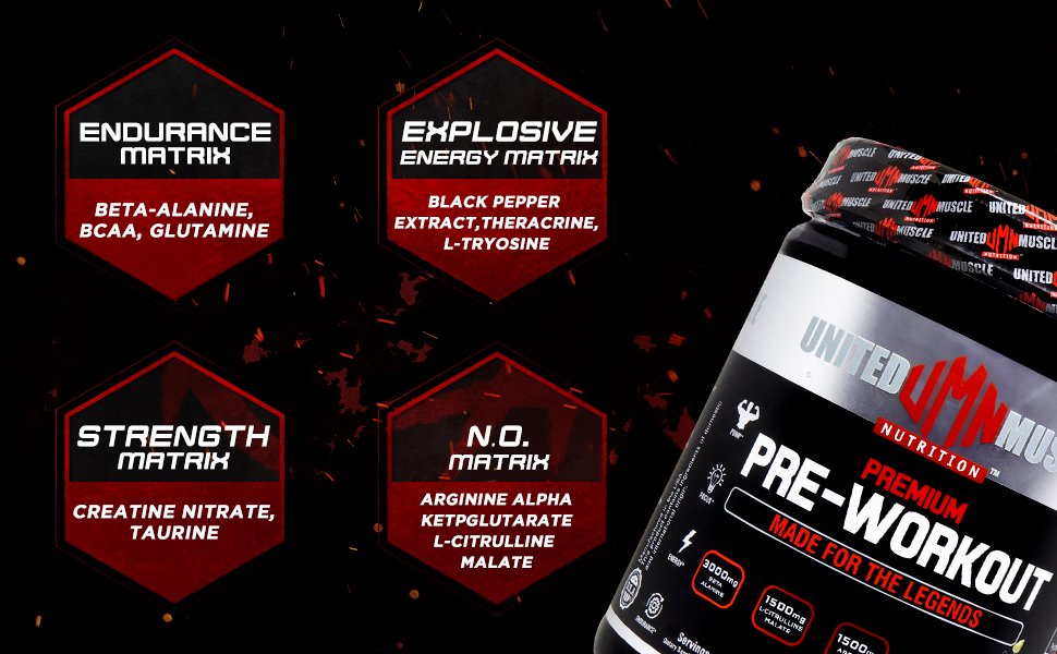 Pro Workout 2